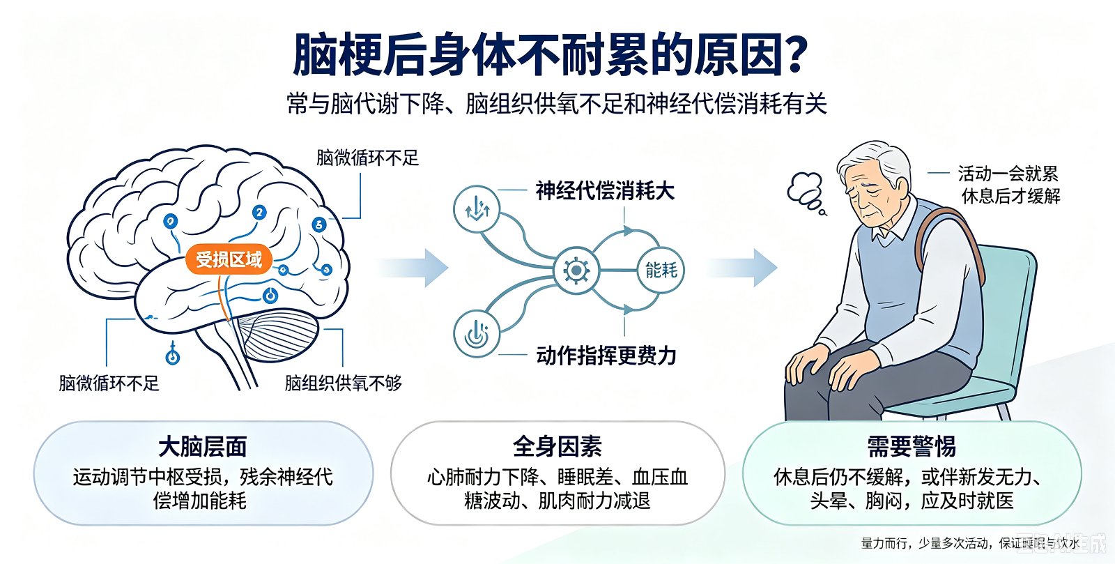 脑梗后身体不耐累的原因?