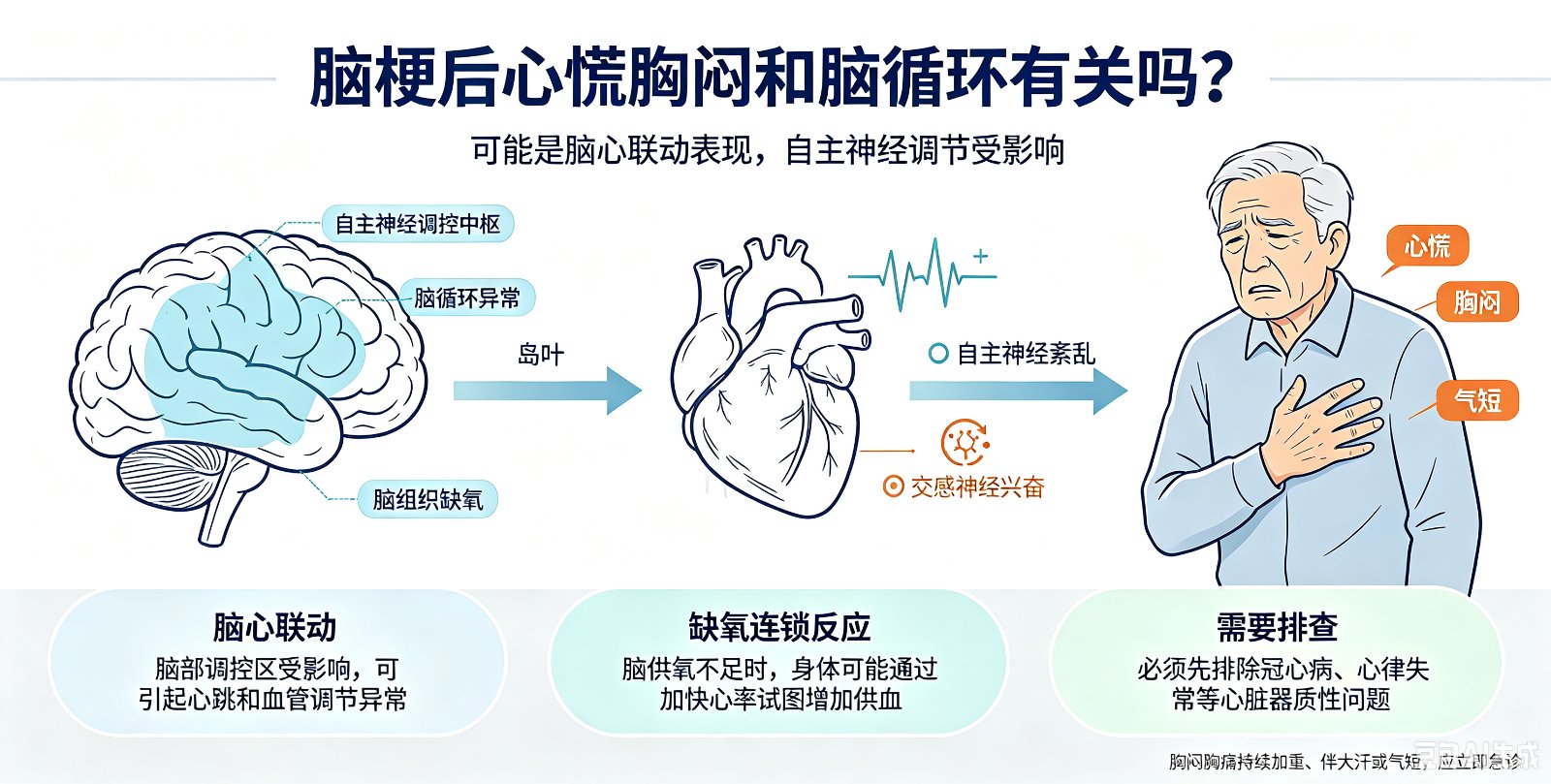 脑梗后心慌胸闷和脑循环有关吗?
